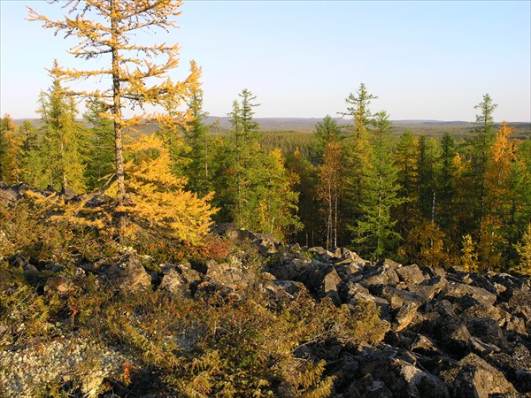 40 краски осени